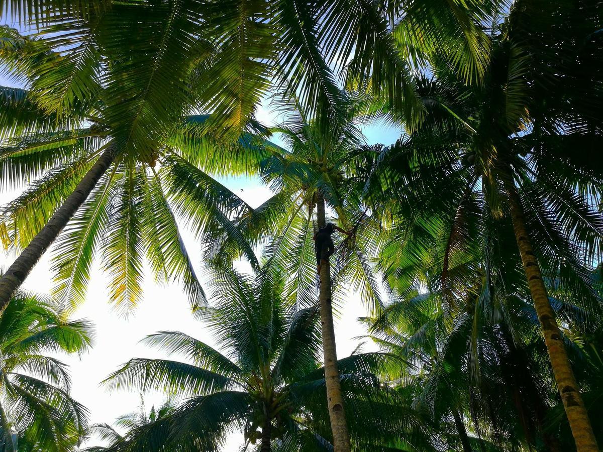 Siargao Residency Apartment Union  ภายนอก รูปภาพ