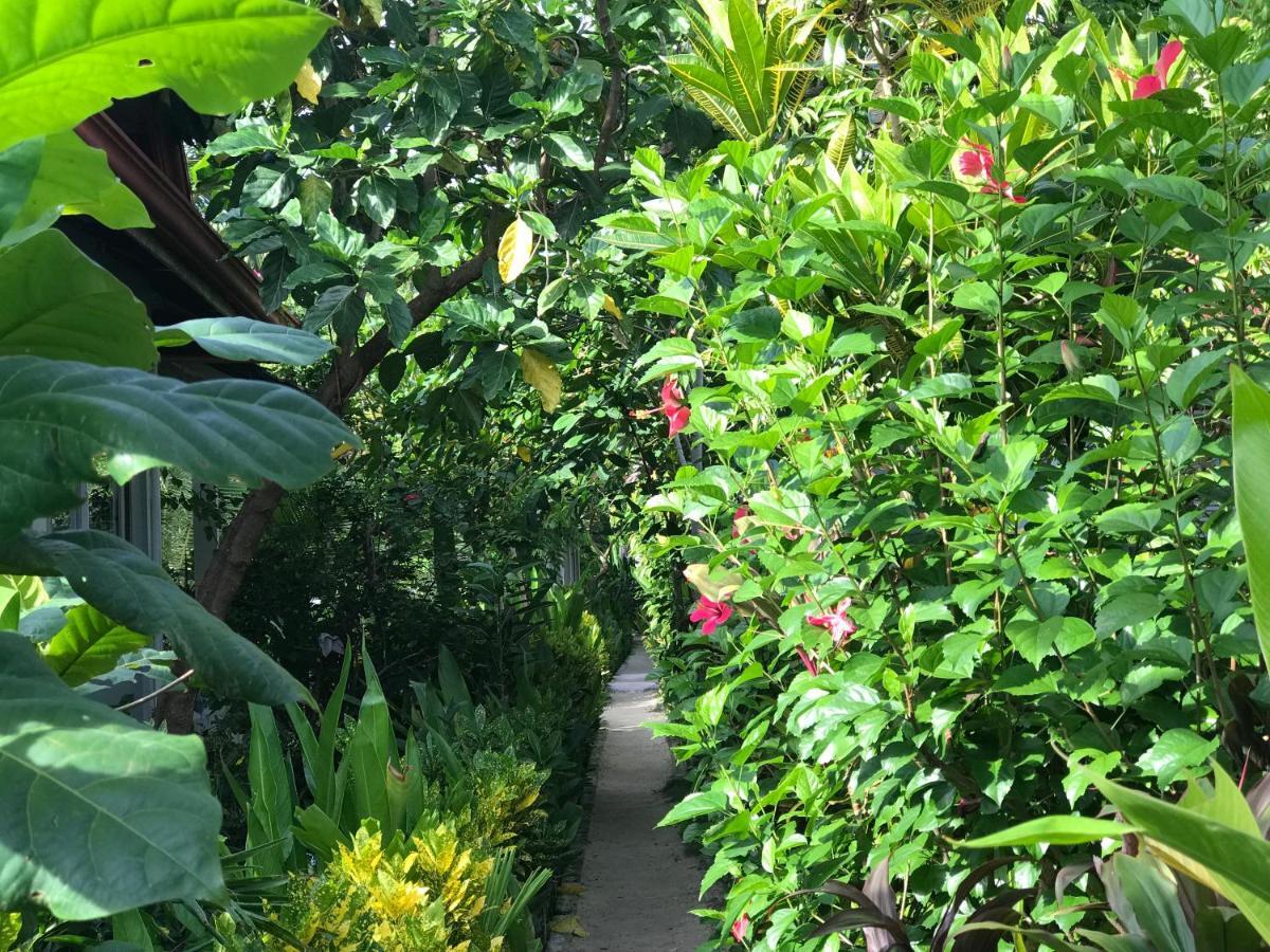 Siargao Residency Apartment Union  ภายนอก รูปภาพ